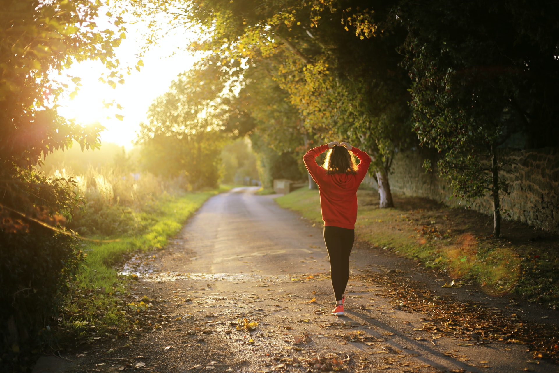 Person in red jacket walks down sunlit path flanked by trees.